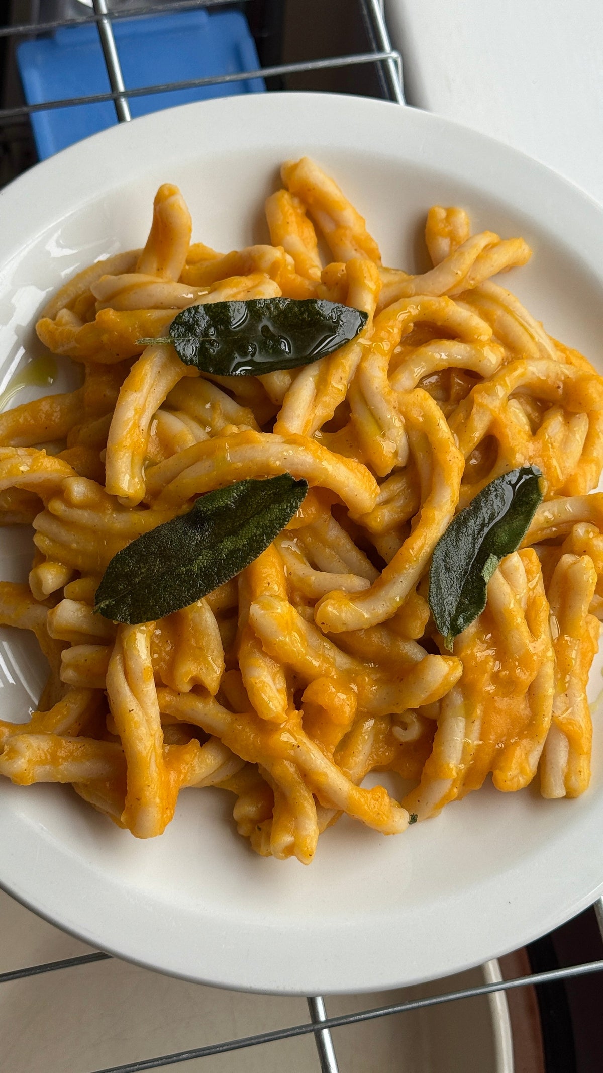 Brown Butter Butternut Squash Casarecce