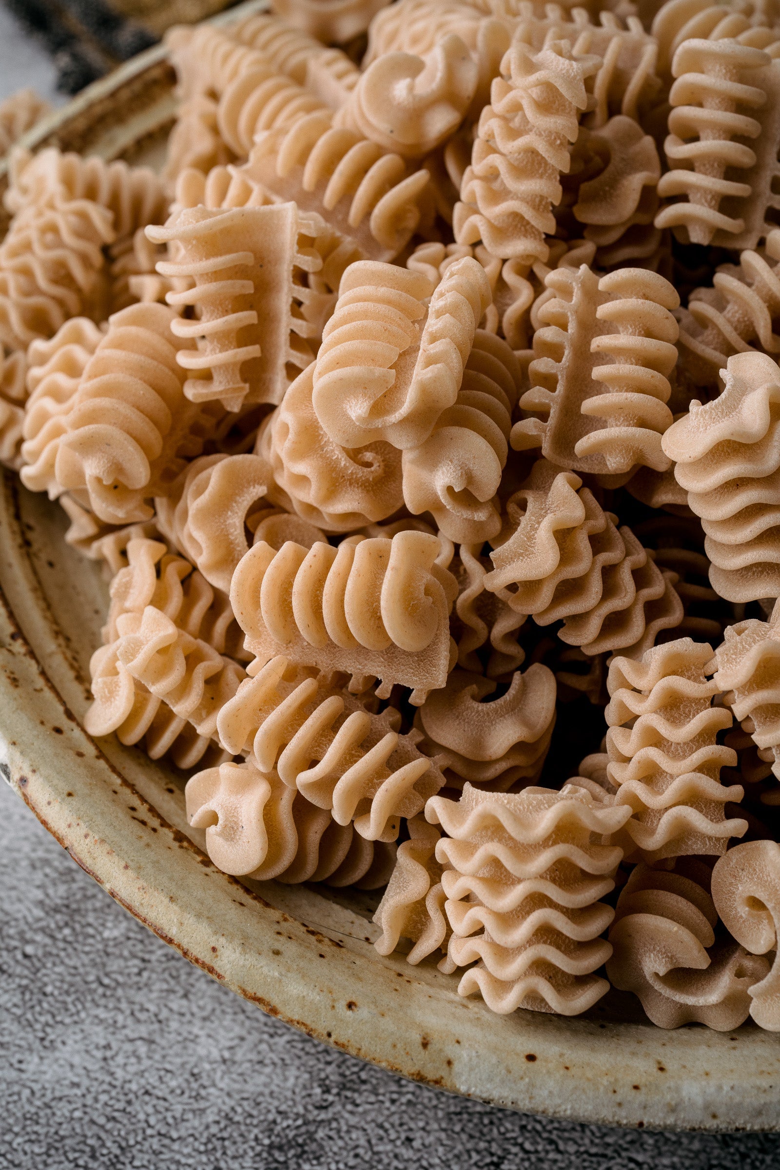 Northern Pasta radiatori