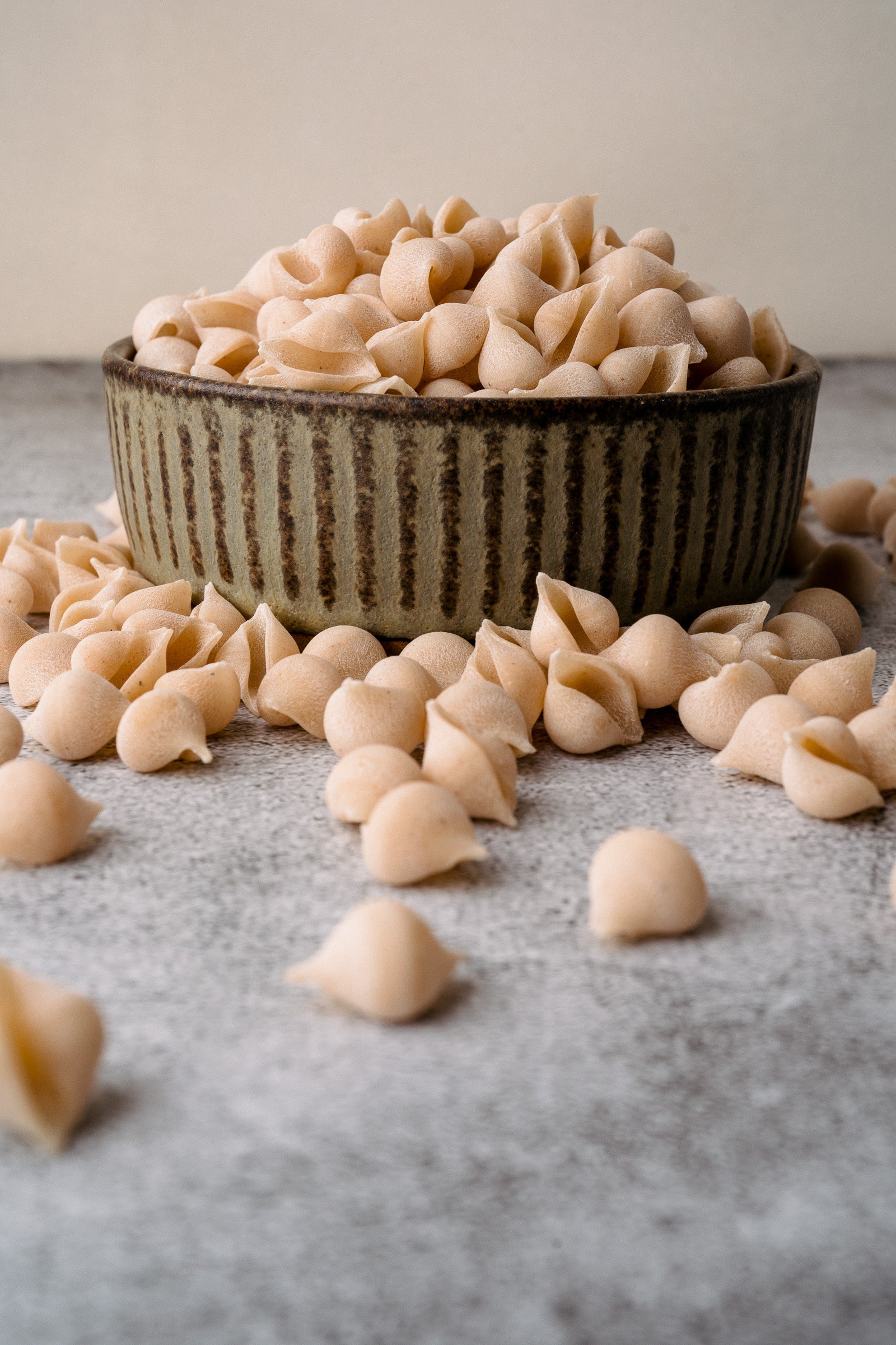 Northern Pasta Conchigliette