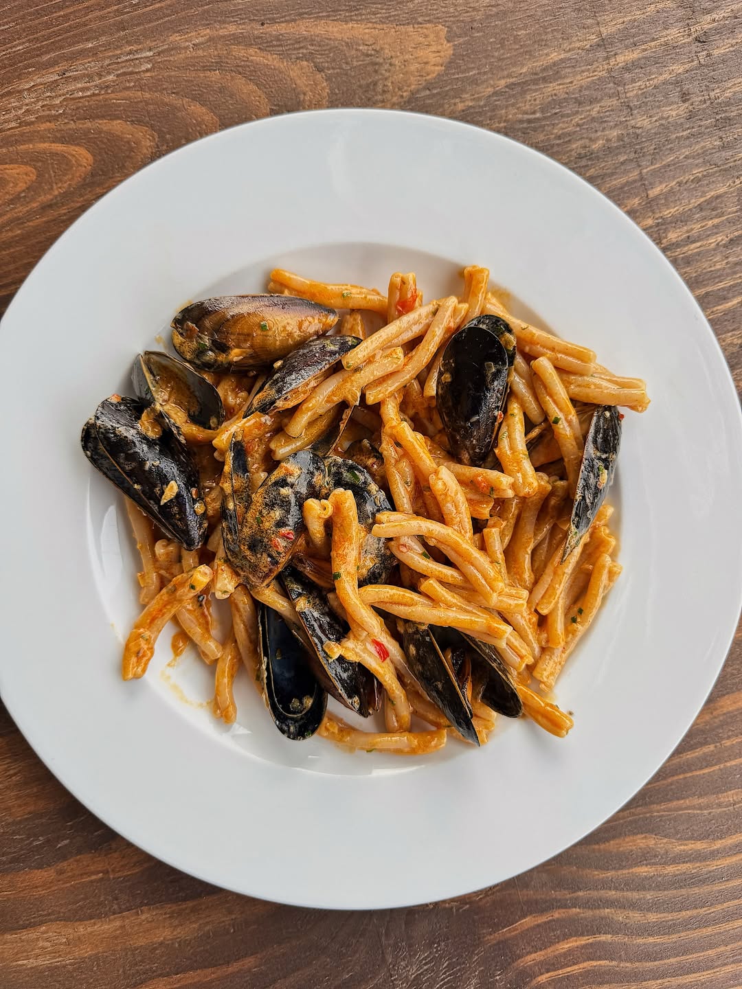 Harissa Mussel Casarecce