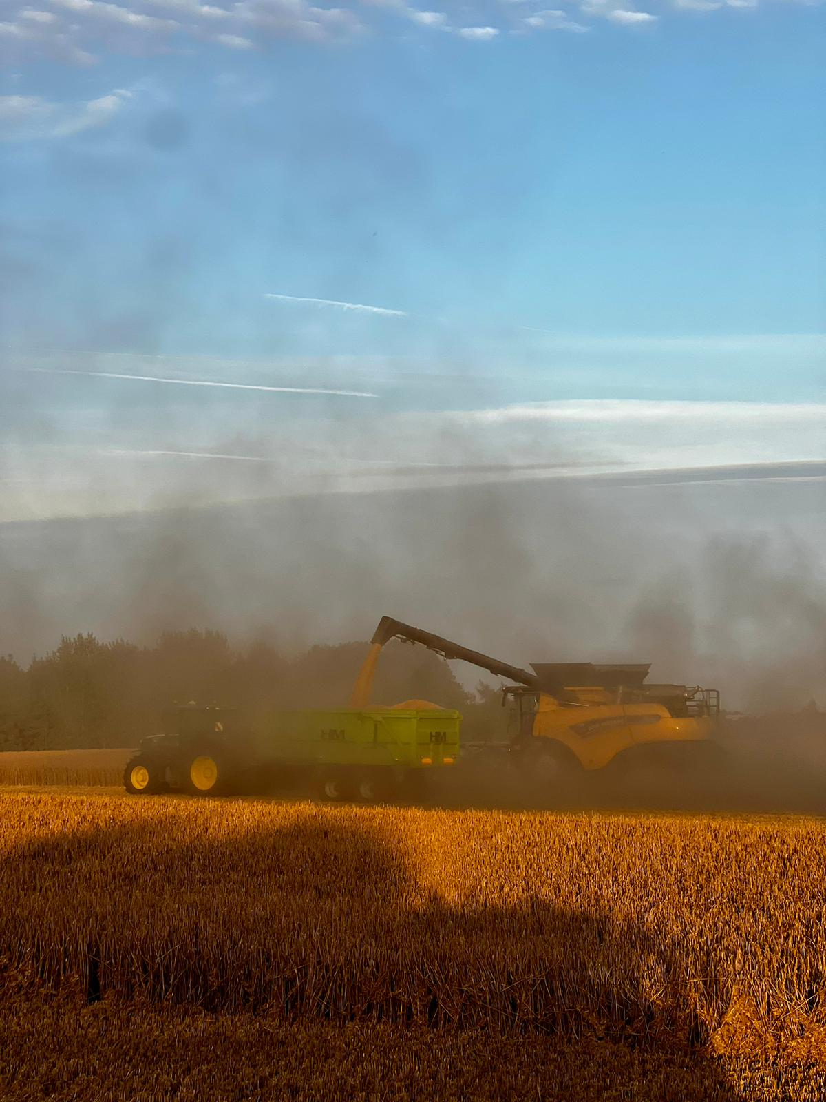 Harvest season is in full swing on the farm where our British Spelt is grown