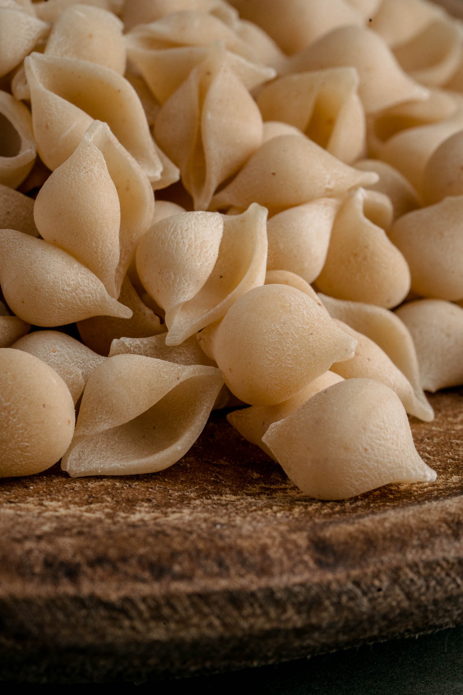 Northern Pasta Co Conchigliette is crafted using traditional Italian methods.