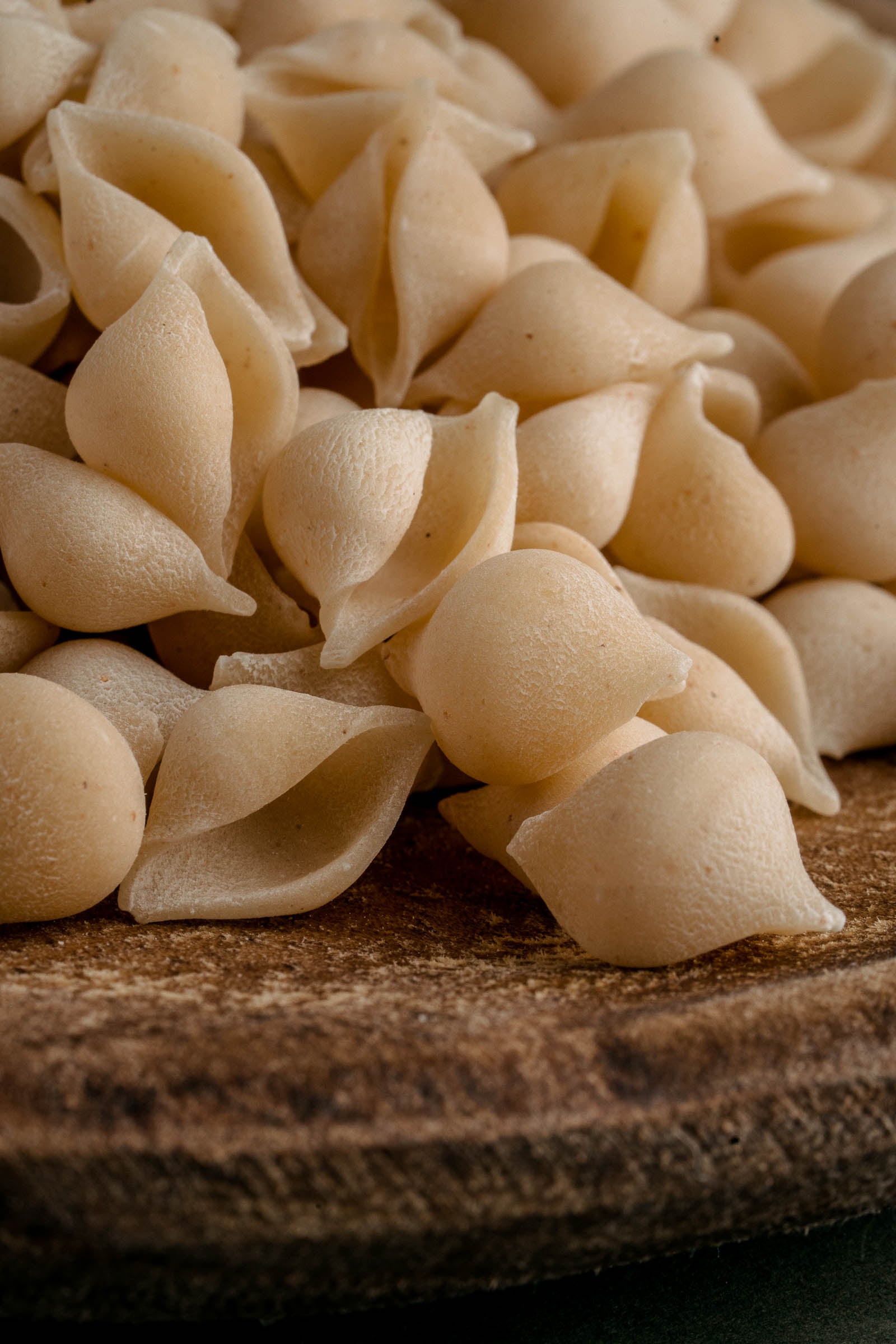 Wildfarmed Northern Pasta Co wildfarmed-northern-pasta-co