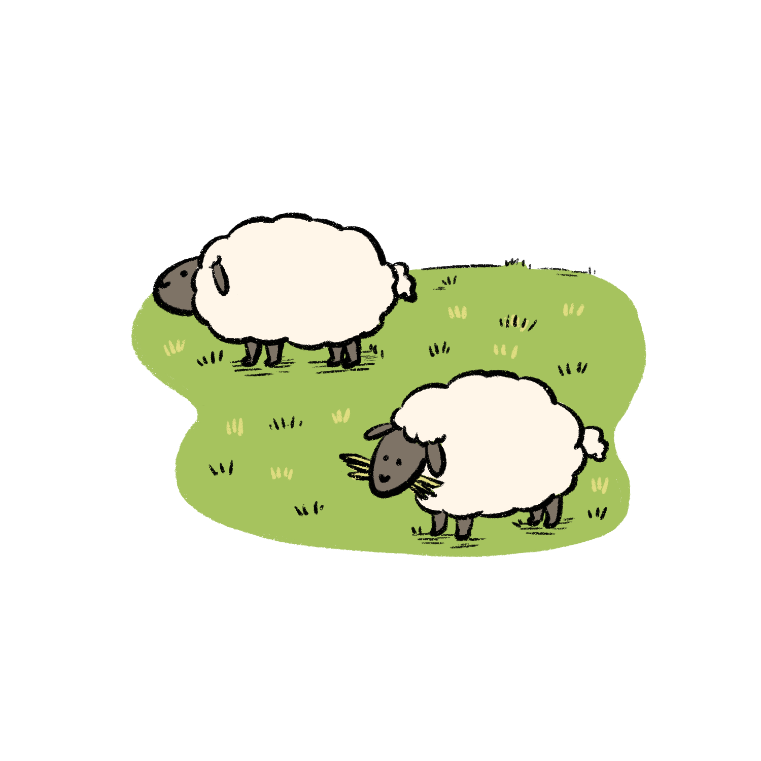 Artificial inputs are removed. Instead disease & pests are managed by livestock who graze the field in early Spring.