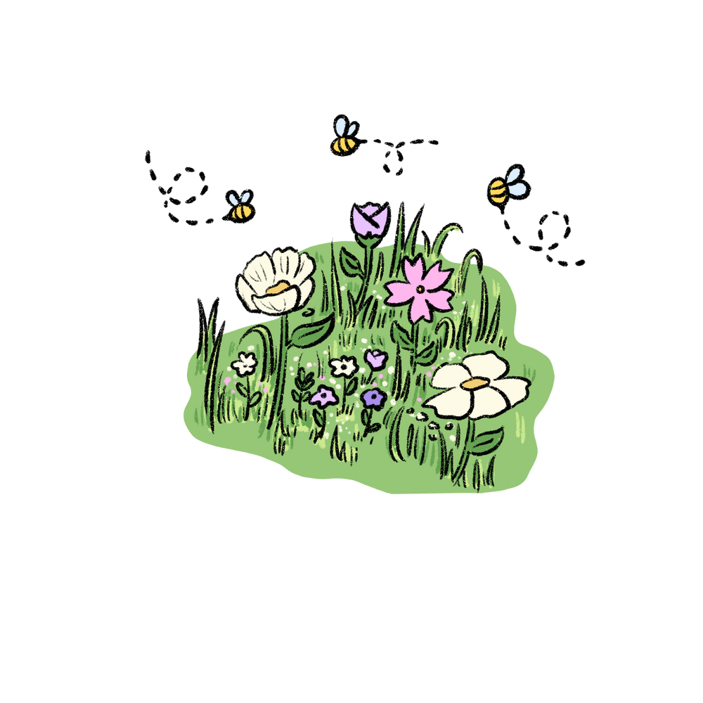 Field to Fork Northern Pasta Co.