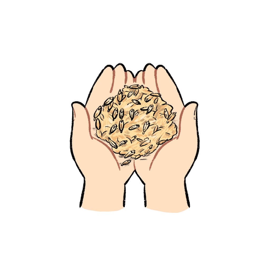 Field to Fork Northern Pasta Co.