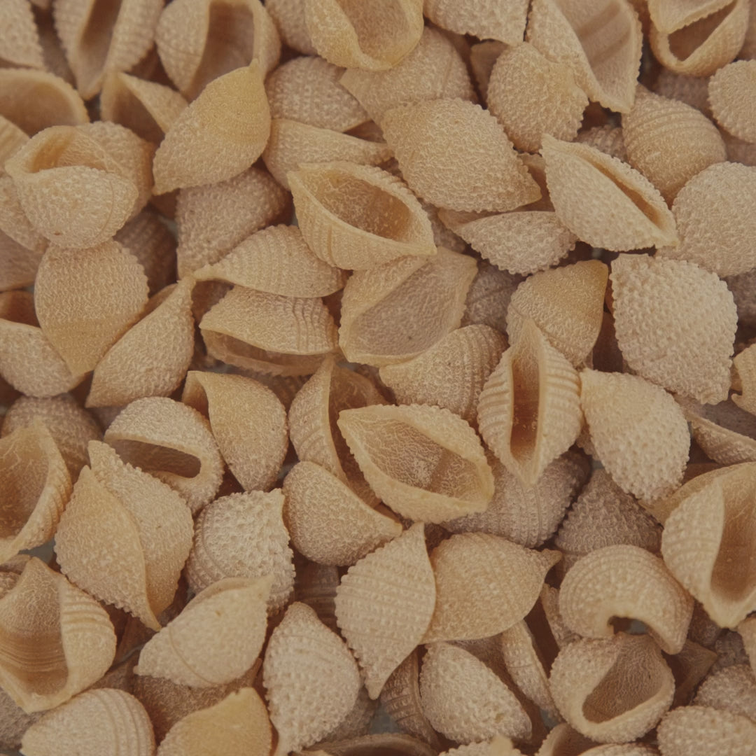 Conchigliette