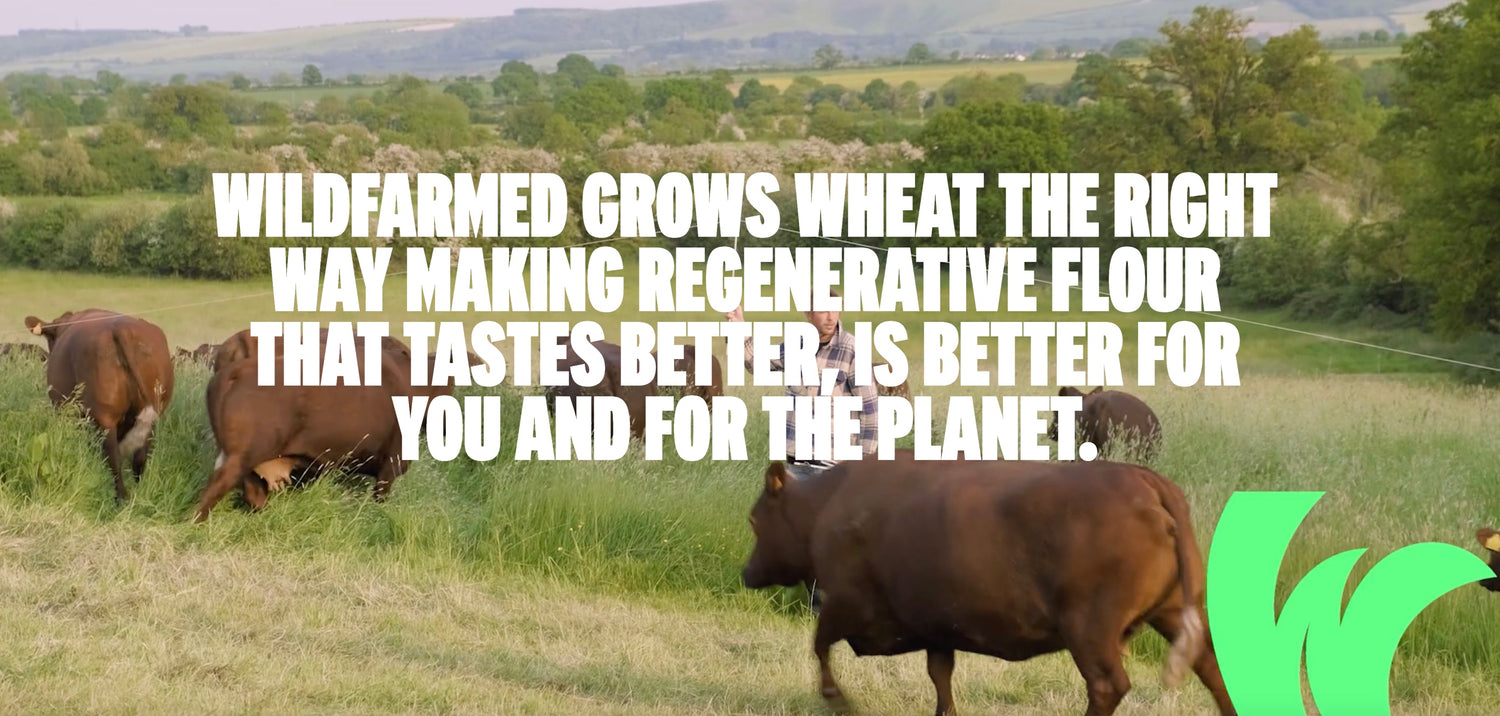 Wildfarmed visual